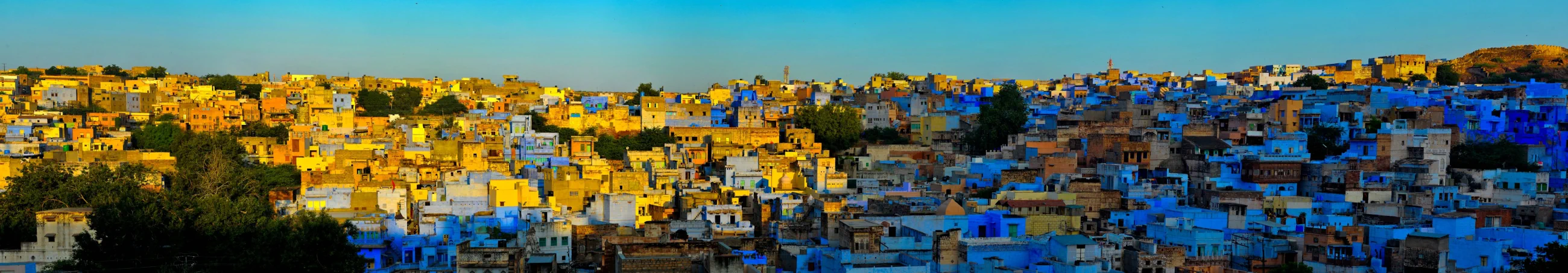 Dense blue-painted homes of Jodhpur seen from Mehrangarh Fort.